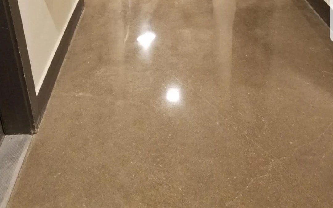 Close view of a finished polished concrete floor in a working building, the overhead lights reflecting off it in soft bands and the fine sand in the concrete reading through the shine